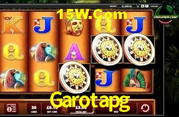 Security Systems Garotapg